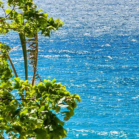 Hotel Casa Del Mare *